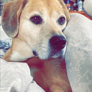 Meet your Posher, Jenna